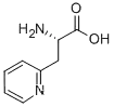 Molecular Structure of 17407-39-5 (Beta-(2-pyridyl)-dl-alanine)